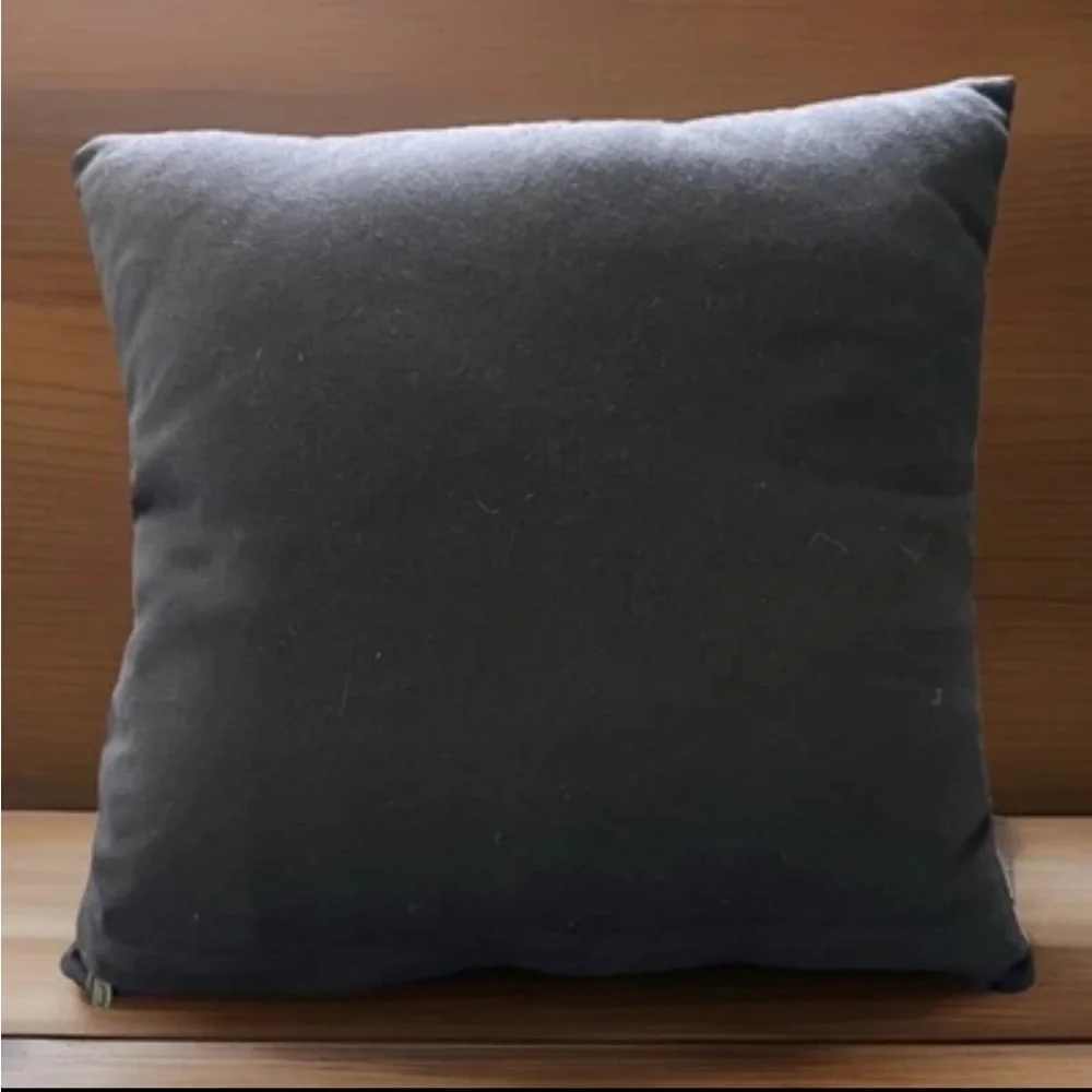 PIER 1 Throw Pillow 15